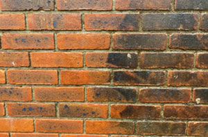 Brick Cleaning Byfleet